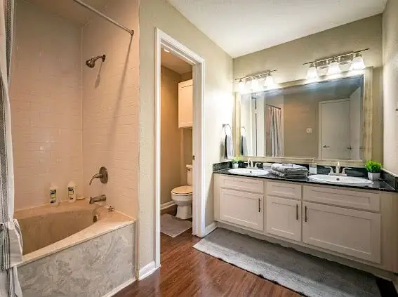 Luxury Apartment