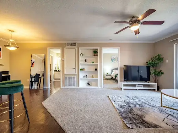 Luxury Apartment