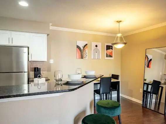 Luxury Apartment