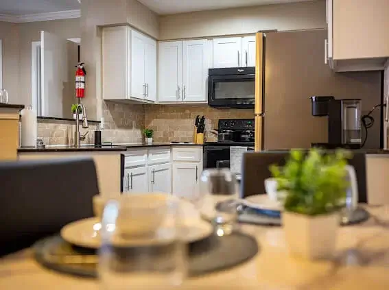 Luxury Apartment
